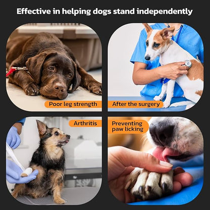 Non-Slip Dog Paw Protector Pads for Senior Dogs 48pcs, M 11-20lbs