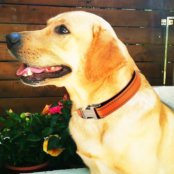 CHEDE Reflective Dog Collar