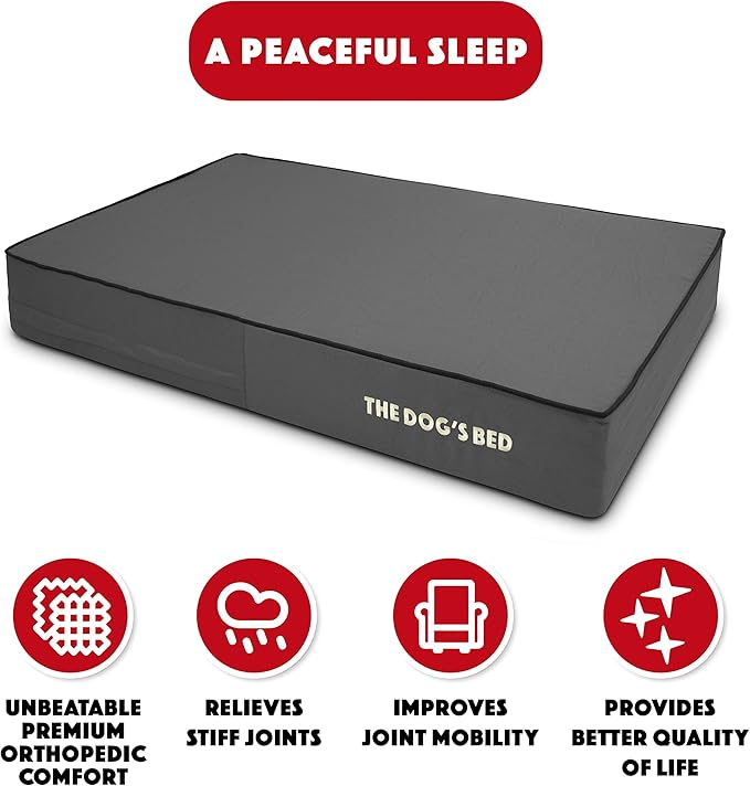 The Dog’s Bed Orthopedic Memory Foam Dog Bed 40x25, Pain