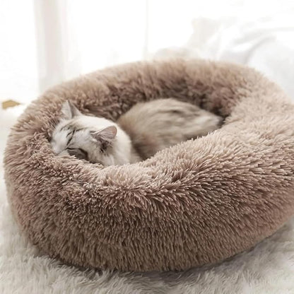 Geizire Cat Beds for Indoor Cats/Dog Beds for Small Dogs