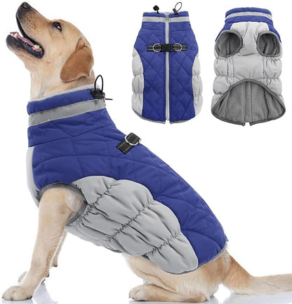 Dog Coat