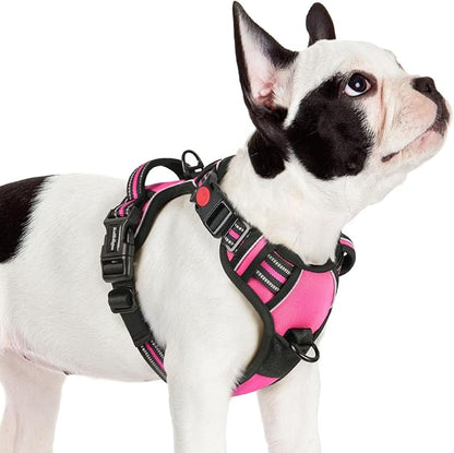 rabbitgoo Dog Harness Small Sized, No Pull Pet Harness with 3 Buckles, Adjustable Soft Padded Dog Vest with Instant Control Handle, Easy Walking Reflective Pet Vest for Small Dogs, Rose Pink, S