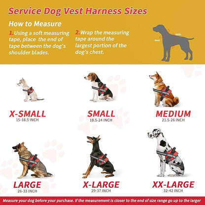 Service Dog Vest, Service Dog Tag and 50 ADA Information Cards,Service Dog Harness in Sizes X Small to XX Large, Ruggedized Metal Tag, Service Animal Information Cards, ESA Accessory Set (Medium)