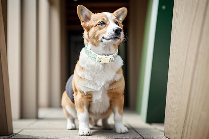 Breathable Cotton Dog Collar