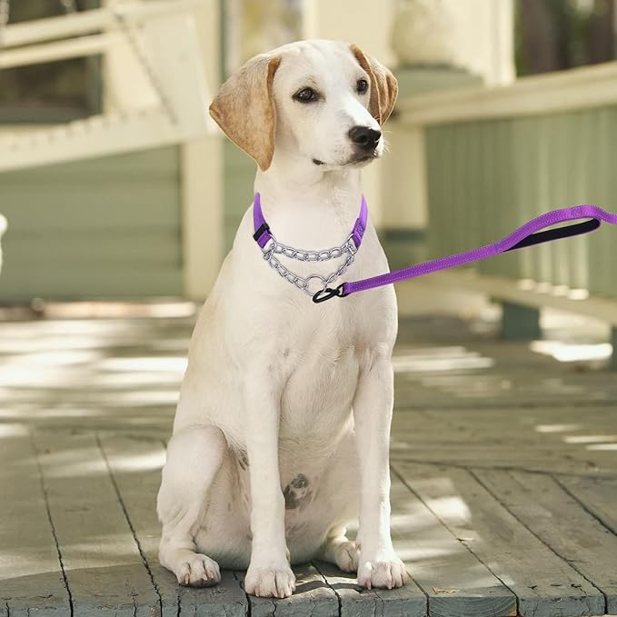 Martingale Dog Collar with Stainless Steel Chain and Leash Set 5FT Double