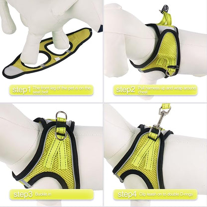 YIMEIS Dog Harness and Leash Set 1)