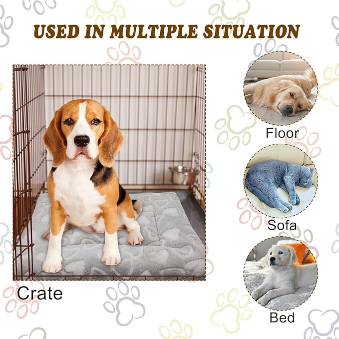 Cat Dog Bed Mat & Blanket