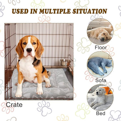 Cat Dog Bed Mat & Blanket