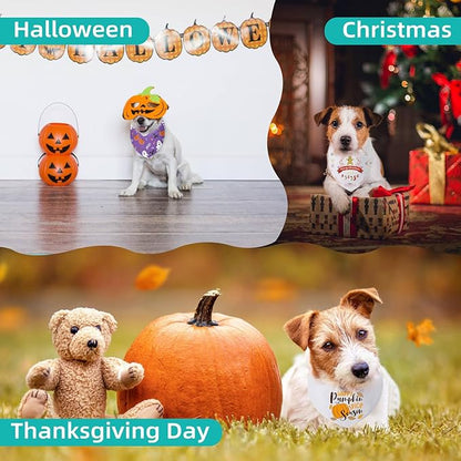 Blank Dog Bandanas Large-2PCS