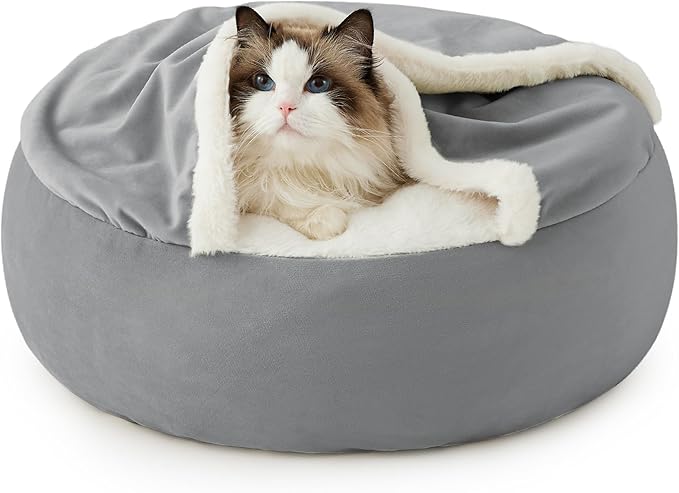 Lesure Cat Bed with Cover Cave 20"