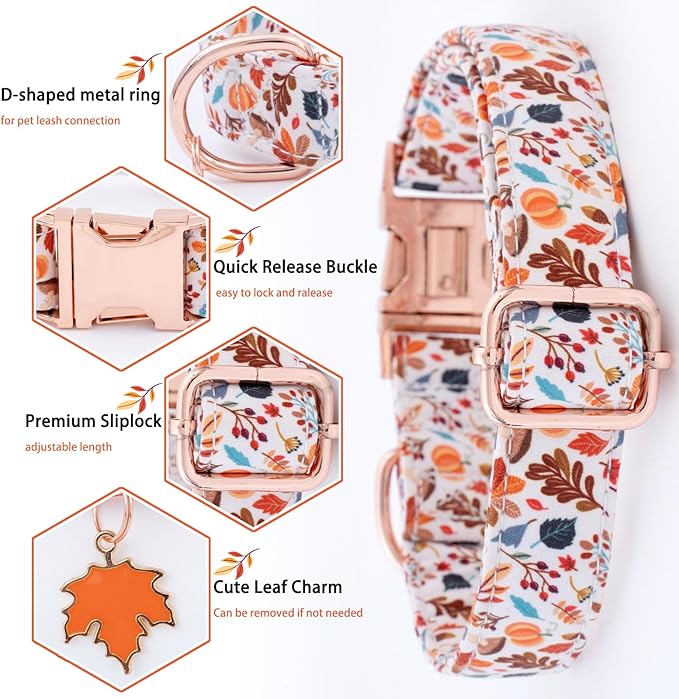 Faygarsle Bow Tie Halloween Fall Dog Collar