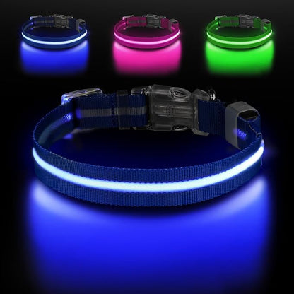 Led Dog Collar for Night Walking