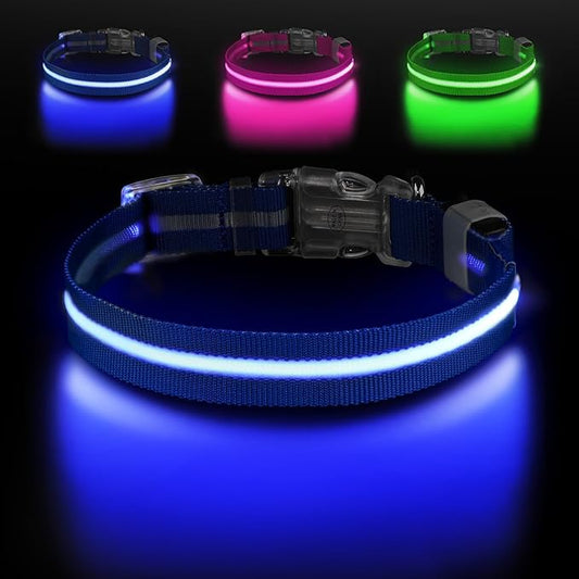 Led Dog Collar for Night Walking