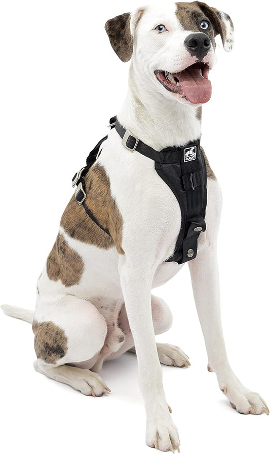 Kurgo Tru-Fit Enhanced Strength Dog Harness - Crash Tested Car Safety Harness for Dogs, No Pull Dog Harness, includes Pet Safety Seat Belt (Black, Medium)