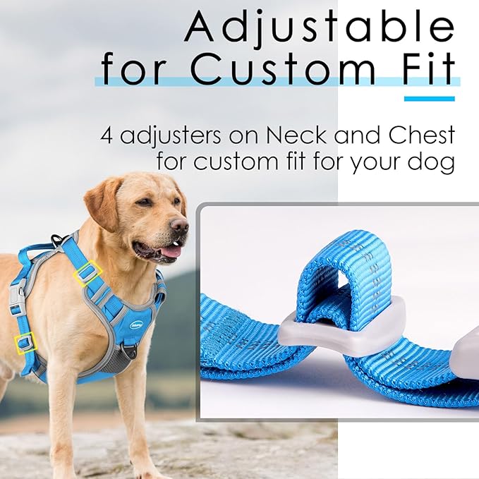 ThinkPet No Pull Harness Breathable Sport Harness with Handle-Dog Harnesses Reflective Adjustable for Medium Large Dogs,Back/Front Clip for Easy Control L Sky Blue