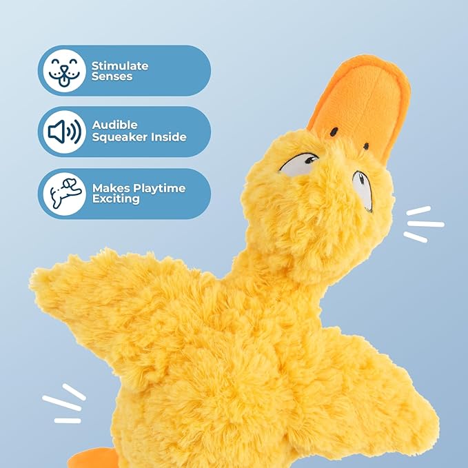 Best Pet Supplies Ducky Doodle Squeaky Crinkle Plush Toy for Small and Medium Breed Puppies or Dogs – Ducky Doodle (Gold), Medium