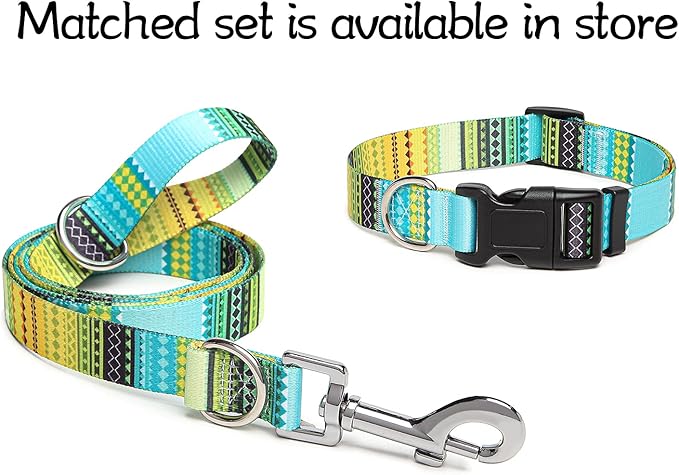 Adjustable Dog Collar with Patterns