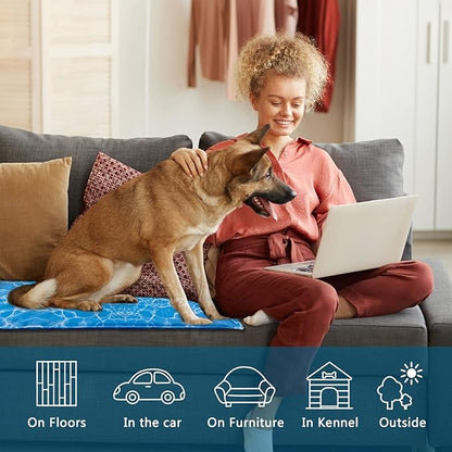 Dog Cooling Mat Water Injection Pet Cooling Mat (19x35 in)