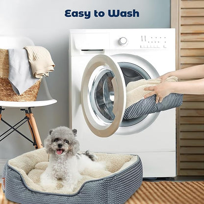 Miguel Washable Cat Beds for Indoor Cats with Removable Cushion/Pillow 20 Inch