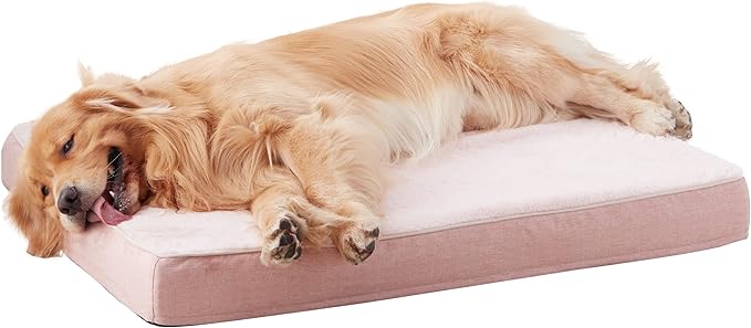 Memory Foam Orthopedic Large Dog Bed
