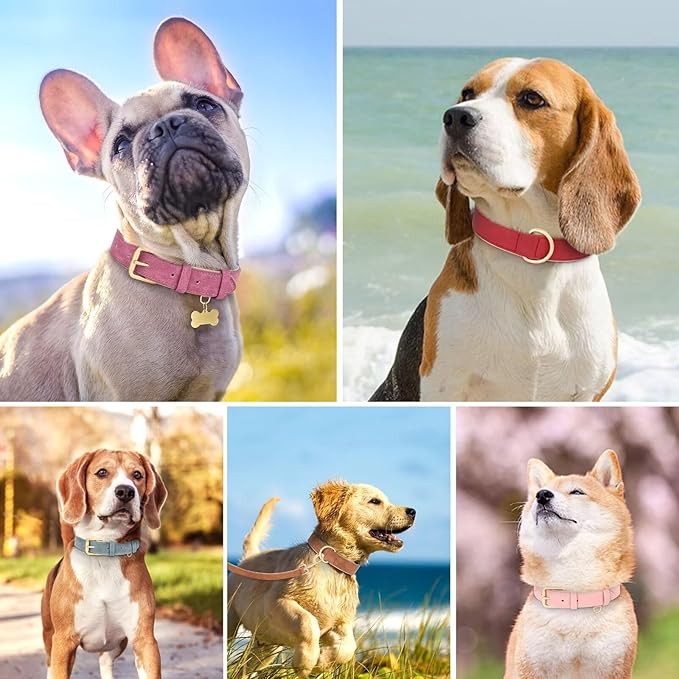 Didog Soft Padded Leather Dog Collar, Adjustable Dog Collars for Small Dogs, Heavy Duty Small Dog Collar Leather with Metal Buckle and D Ring, Hot Pink,S