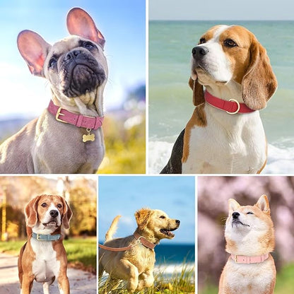 Didog Soft Padded Leather Dog Collar, Adjustable Dog Collars for Small Dogs, Heavy Duty Small Dog Collar Leather with Metal Buckle and D Ring, Hot Pink,S