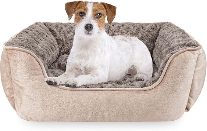 JOEJOY Rectangle Dog Bed for Large Medium Small Dogs Machine Washable Sleeping Dog Sofa Bed Non-Slip Bottom Breathable Soft Puppy Bed Durable Orthopedic Calming Pet Cuddler