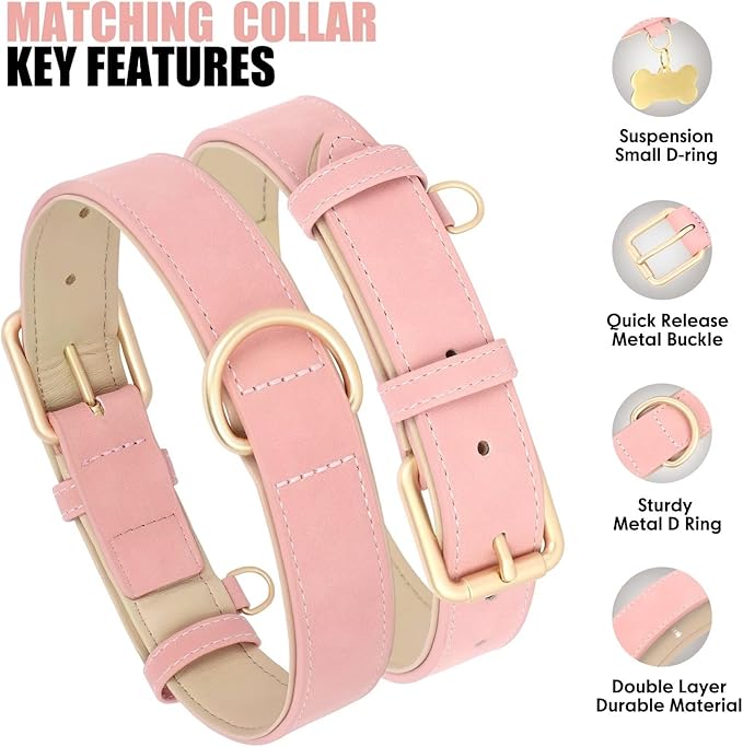 Beirui Soft Padded Leather Dog Collar and Leash Set 4FT Leather