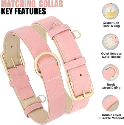 Beirui Soft Padded Leather Dog Collar and Leash Set 4FT Leather