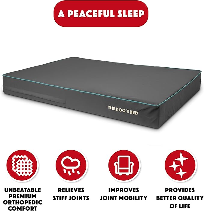 The Dog’s Bed Orthopedic Memory Foam Dog Bed 54x36, Pain