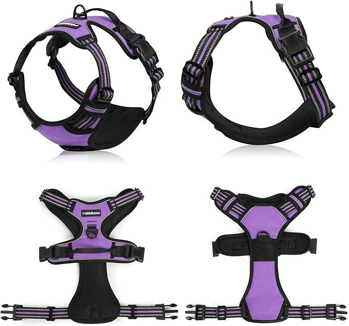 rabbitgoo Dog Harness, No-Pull Pet Harness with 2 Leash Clips, Adjustable Soft Padded Dog Vest, Reflective No-Choke Pet Oxford Vest with Easy Control Handle for Large Dogs, Purple, XL