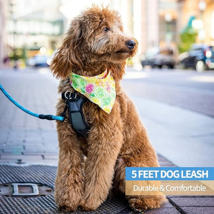 BAAPET 2/4/5/6 FT Dog Leash with Comfortable Padded Handle and Highly Reflective Threads for Small Medium and Large Dogs (5FT-1/2''