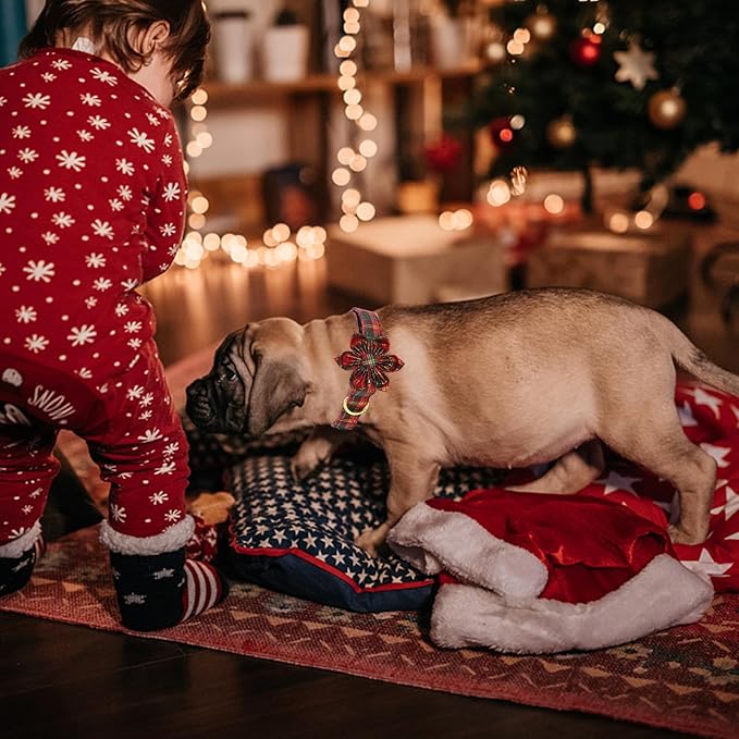 Elegant little tail Dog Collar with Flower