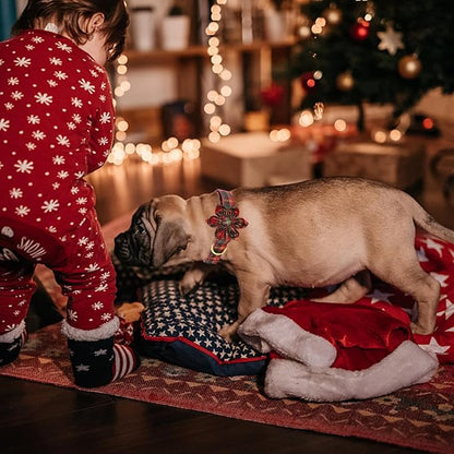 Elegant little tail Dog Collar with Flower