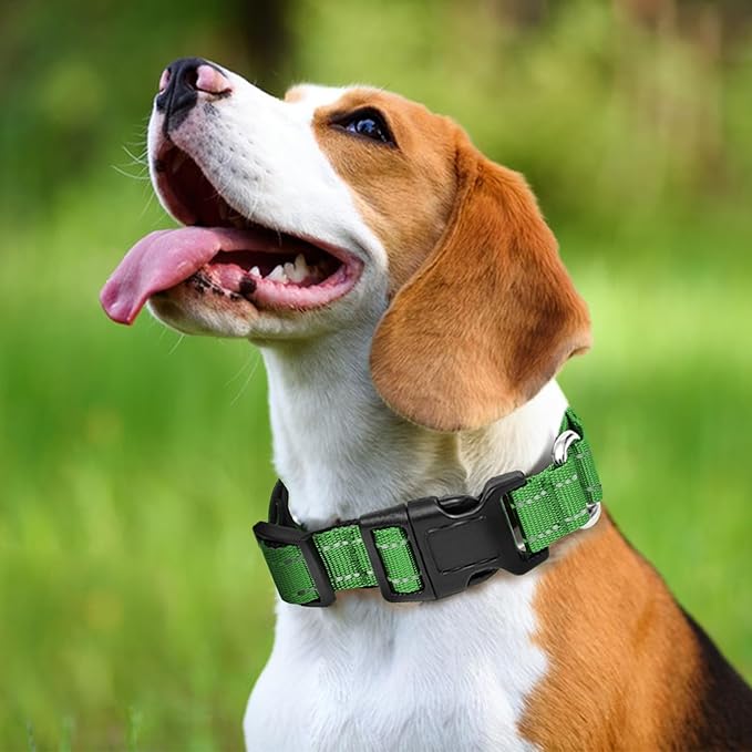 Reflective Martingale Dog Collars. Dog Collar with Quick