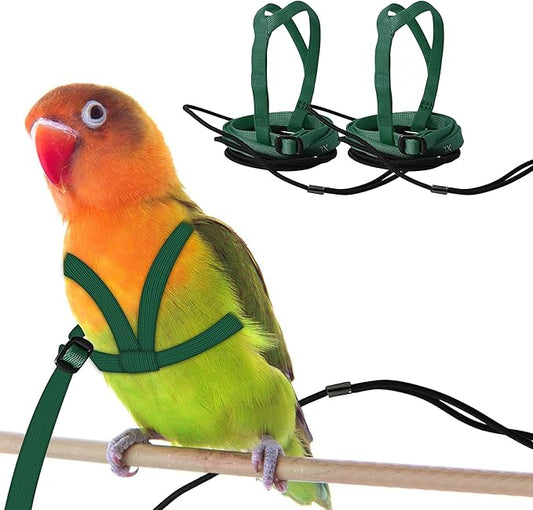 2 pcs Pet Parrot Bird Harness and Leash, Adjustable Training Design Anti-Bite, Outdoor Flying Training Rope Kit for Bird Parrots Fits Birds Chest Between24-51cm /9.45-20inch - M (Green)