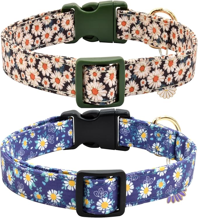 Flower Patterns Dog Collar with Accessories