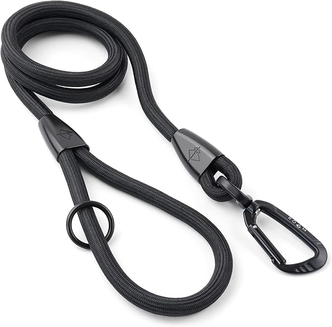 MADE TO ROAM Premium Everyday Leash 4ft (Rubber