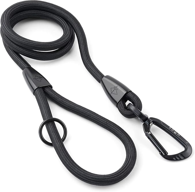 MADE TO ROAM Premium Everyday Leash 4ft (Metal