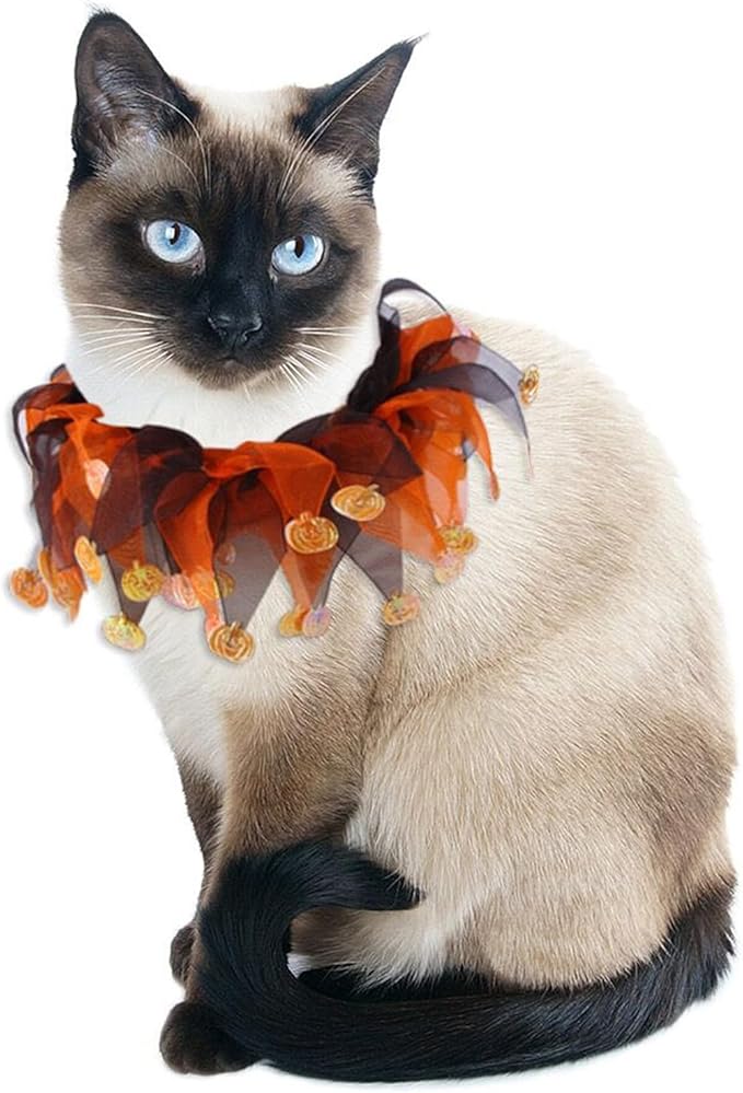 Elegant little tail 1PCS Dog Halloween Costume - Dog Cat Pumpkin Tutu Collar Dog with Halloween Pumpkin Patterns Pet Tutu Collar Suit Pet Halloween Costume for Cats Small Medium Dogs