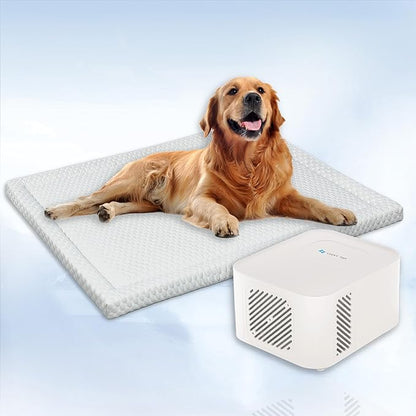 Pet Pad Cooling System for Summer