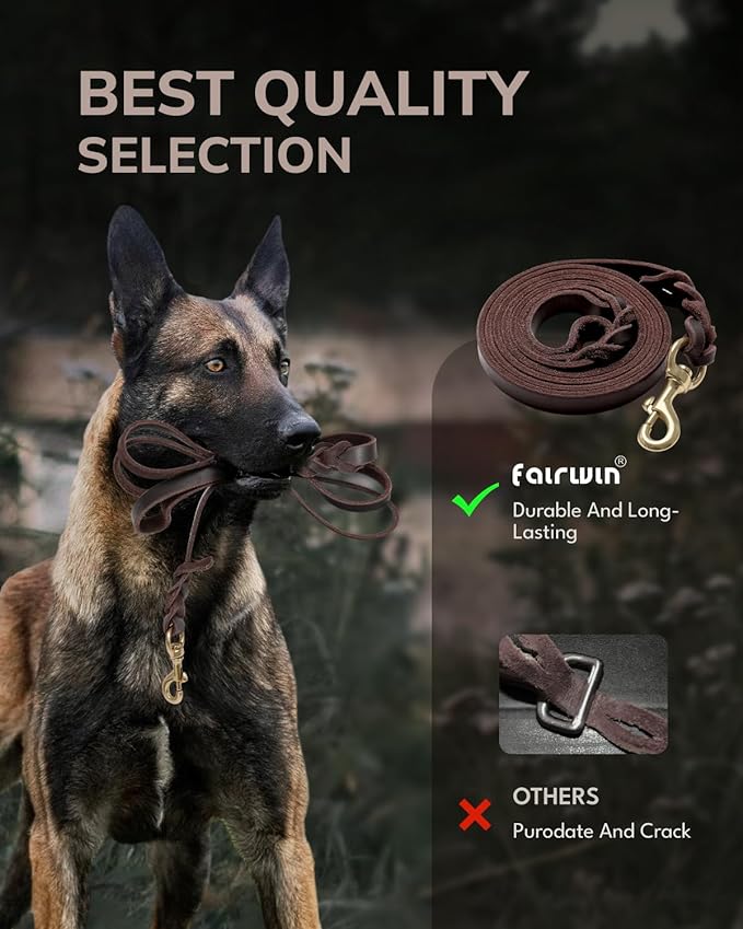 FAIRWIN Braided Leather Dog Leash 6 Foot S:1/2" x 6ft)