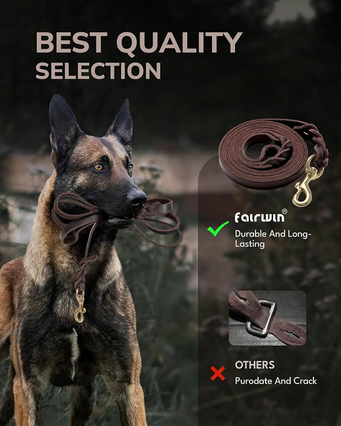 FAIRWIN Braided Leather Dog Training Leash 6 Foot L:3/4" x 6ft)