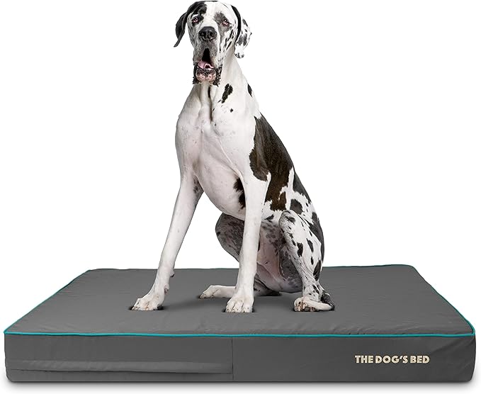 The Dog’s Bed Orthopedic Memory Foam Dog Bed 54x36, Pain