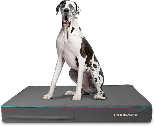 The Dog’s Bed Orthopedic Memory Foam Dog Bed 54x36, Pain