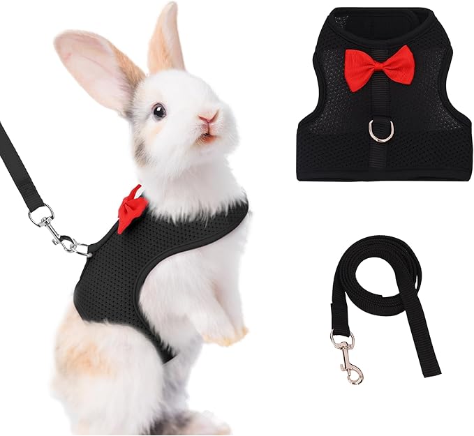 AIITLE Rabbit Harness and Leash Set with Cute Bow, Soft Breathable Mesh Vest Harness for Rabbits Kitten Ferret Puppy Small Pets Walking Supplies Black S