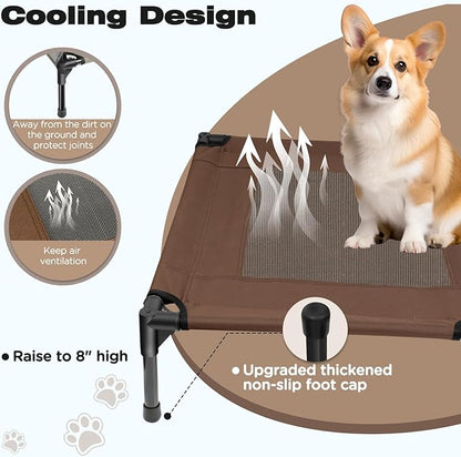 Elevated Dog Bed