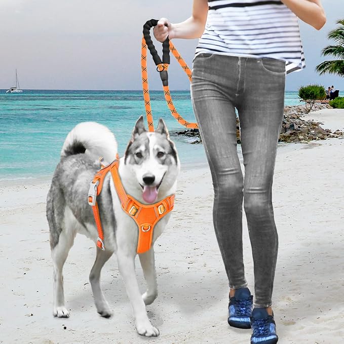 BARKBAY No Pull Dog Harness Large Step in Reflective Dog Harness with Front Clip and Easy Control Handle for Walking Training Running with ID tag Pocket(Orange