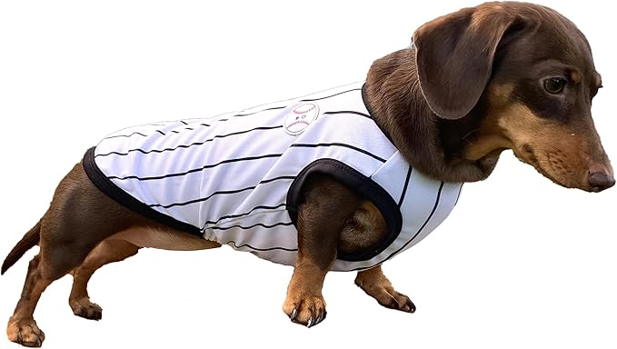 Dachshund Clothes for Dogs Baseball Mini and Adults T Shirts (L