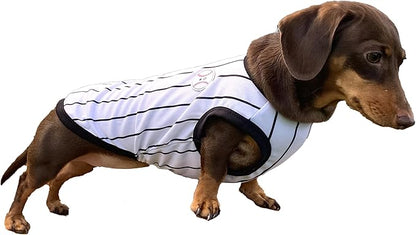 Dachshund Clothes for Dogs Baseball Mini and Adults T Shirts (M